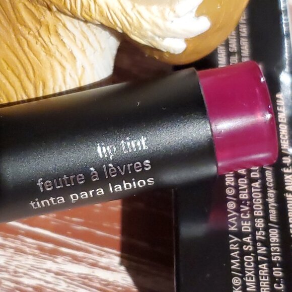 Mary Kay Limited Edition Lip Tint - Desert Flora - Discontinued - Picture 4 of 5